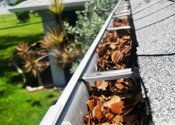 Gutter Cleaning Altavista home page