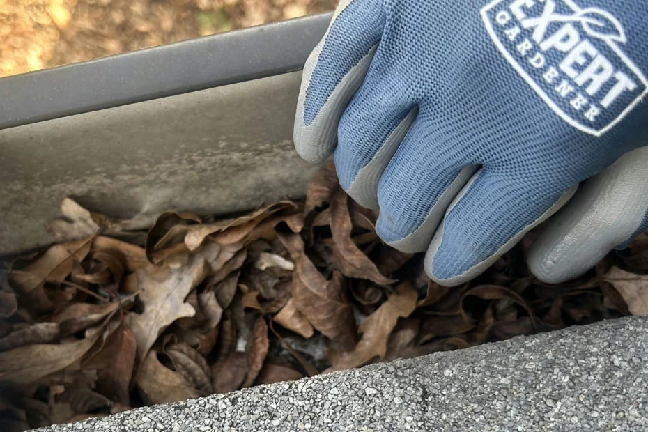 Gutter Cleaning Altavista