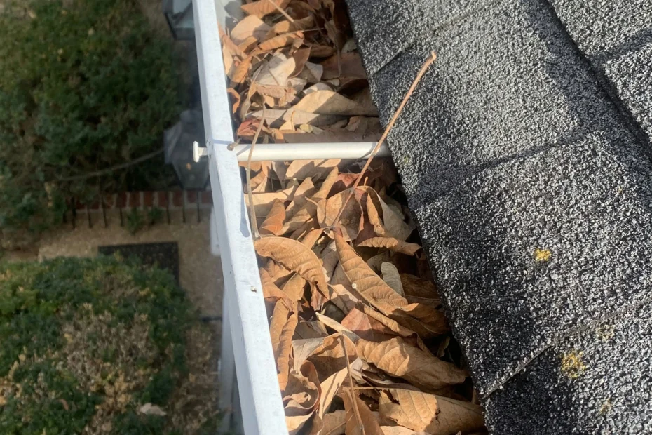 Gutter Cleaning Altavista