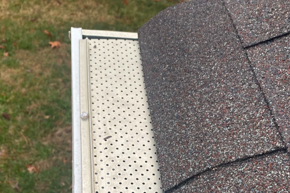 Gutter Cleaning Altavista